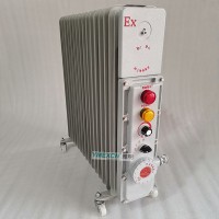 电暖器BDR-2000W2500W220V防爆电热油汀
