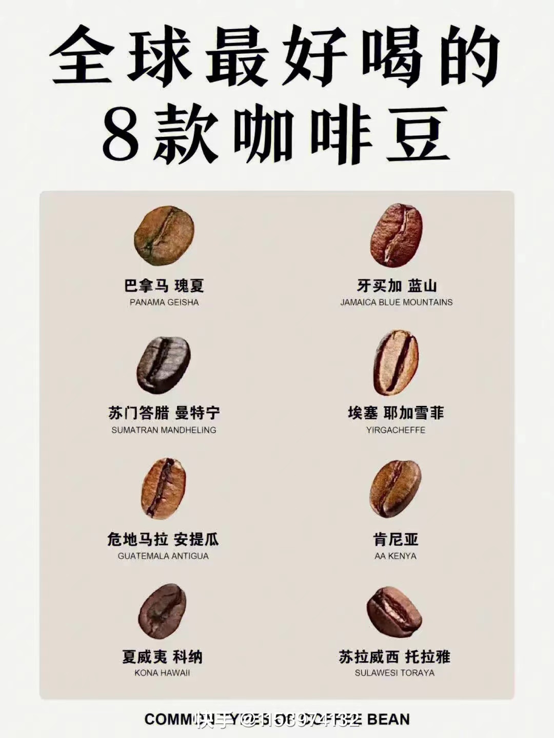咖啡豆进口报关 咖啡豆进口代理 咖啡豆报关代理